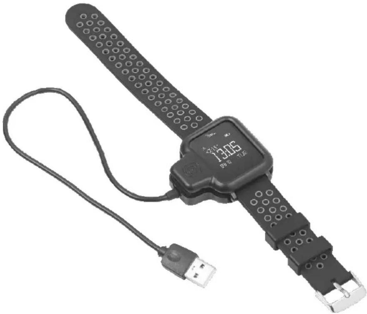 Newgen Medicals SW250.hr - Akku laden - 2