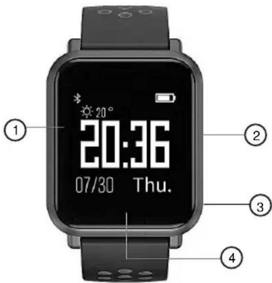 Newgen Medicals SW250.hr - Description du produit Montre fitness - 1