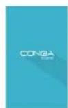 CECOTEC Conga 2090 Vision - SOMMAIRE - 12