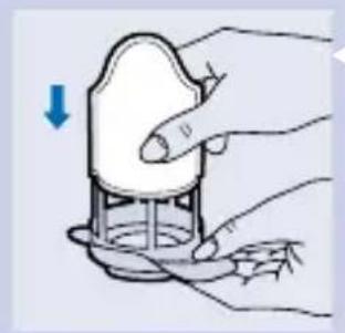 PHILIPS Jack HR6073 - Utskifting av støvsugerposen - 2