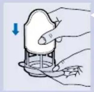 PHILIPS Jack HR6073 - Suodattimen vaihto - 2