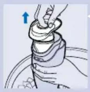 PHILIPS Jack HR6073 - Sivilar - 2