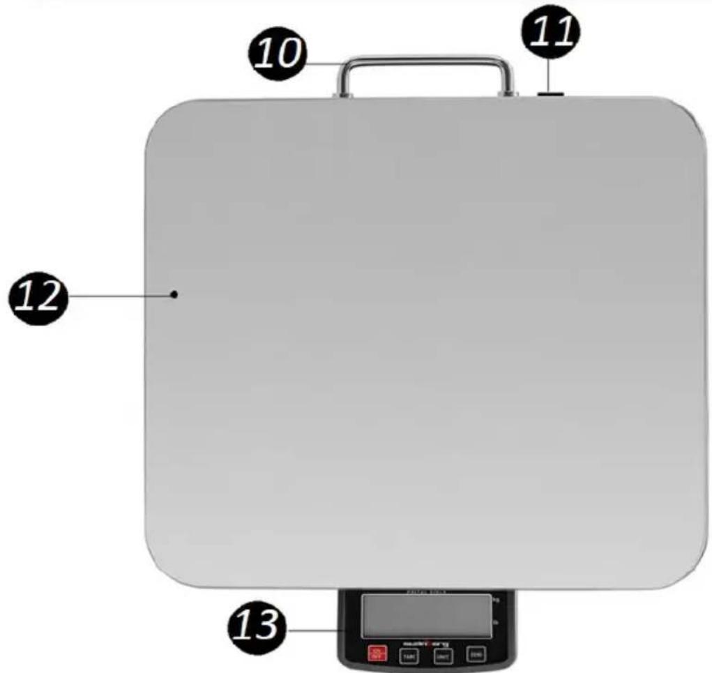 STEINBERG SBSPT200SB - Description de l'année - 2
