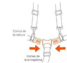 Correa de la cintura Correa de la entreplema