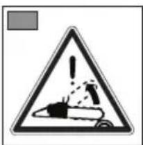 ALPINA ACS 41 - SIMBOLI - 2