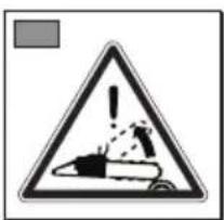 ALPINA ACS 41 - SIMBOLI - 2