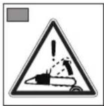 ALPINA ACS 41 - SIMBOLI - 2