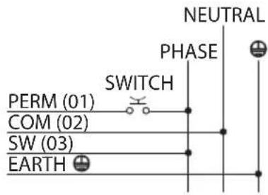 NEUTRAL PHASE SWITCH PERM (01) COM (02) SW (03) EARTH
