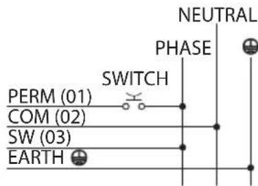 NEUTRAL PHASE SWITCH PERM (01) COM (02) SW (03) EARTH