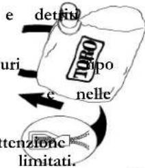 e detrid uri tipo e nelle tenzione limitati.