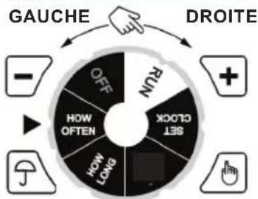 Chapin 41012 - FRÉQUENCE - 2