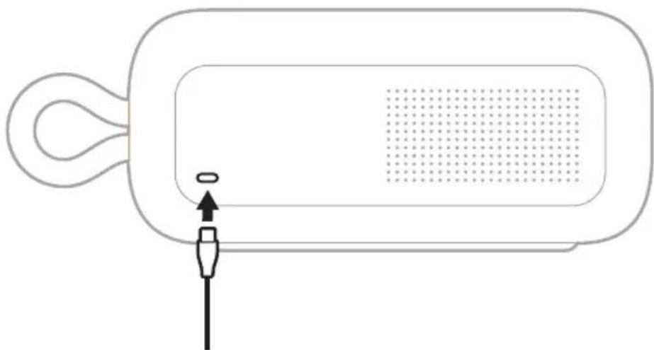 BOSE SoundLink Plus - INDLEDENOPSATNING - 1