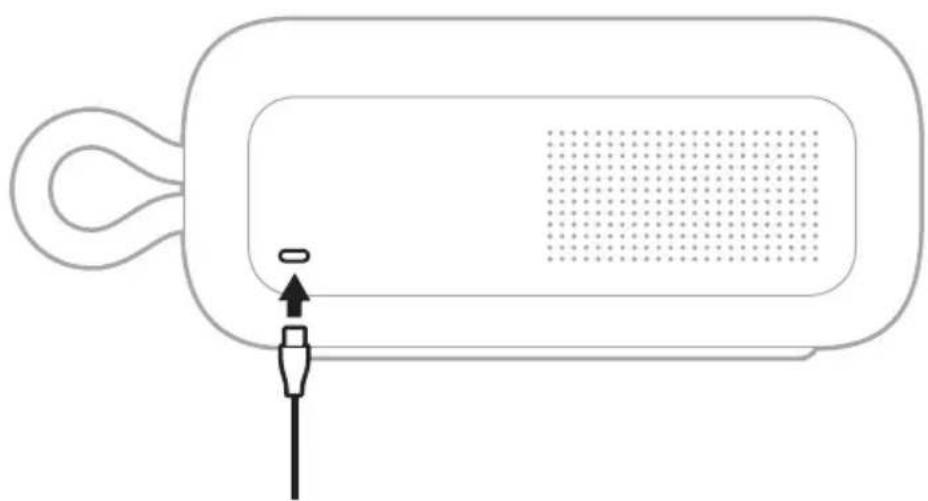 BOSE SoundLink Plus - 首 - 1