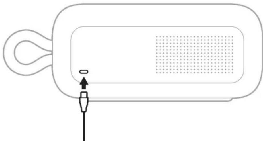 BOSE SoundLink Plus - CHARGE YOUR DEVICE - 1