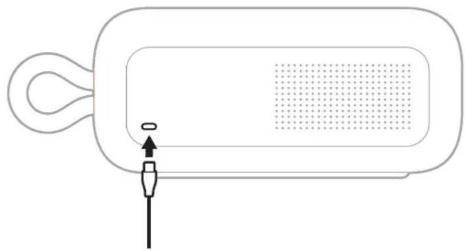 BOSE SoundLink Plus - clawl jw - 1