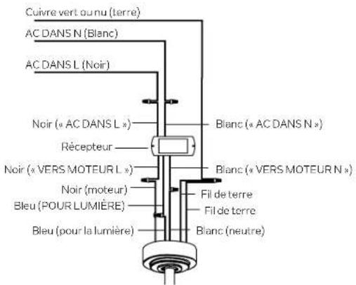 Cuivre vert ou nu (terre) AC DANS N (Blanc) AC DANS L (Noir) Noir (« AC DANS L ») Récepteur Noir (« VERS MOTEUR L ») Noir (moteur) Bleu (POUR LUMIÈRE) Bleu (pour la lumière) Blanc (« AC DANS N ») Blanc (« VERS MOTEUR N ») Fil de terre Fil de terre Blanc (neutre)