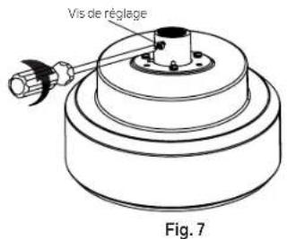 Vis de réglage Fig. 7