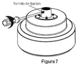 Tornillo de fijación Figura 7