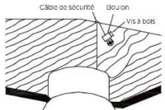 Câble de sécurité Boulin Vis à bols