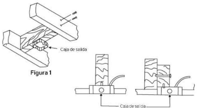 Caja de salida Figura 1 Caja de salida