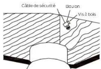 Câble de sécurité Boulon Vis à bois