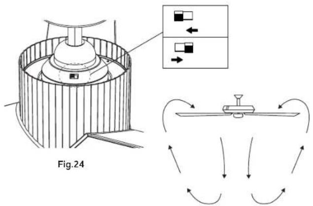 Fig.24