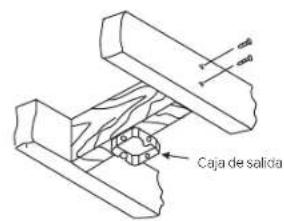 Caja de salida