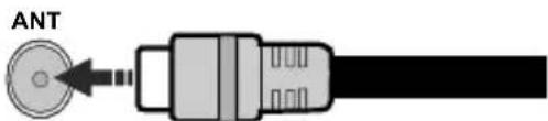 EDENWOOD ED50A06UHDVE - Rear-left side of the TV - 1