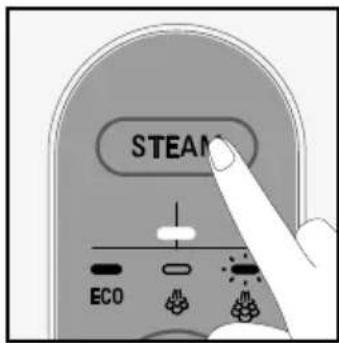 STEAM ECO