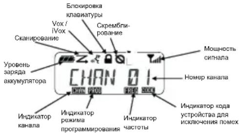 MOTOROLA XT400 - DAHHbIE HA DnCnJIeE - 1