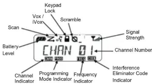 MOTOROLA XT400 - READING THE DISPLAY - 1
