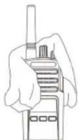 MOTOROLA XT400 - Ecni paiaoctaunna nonana B Body... - 3