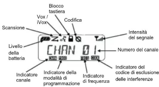 MOTOROLA XT400 - LETTURA DEL DISPLAY - 1