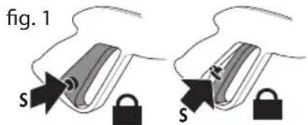 fig. 1 s s