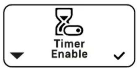 ECM Technika VI - Timer Enable - 2
