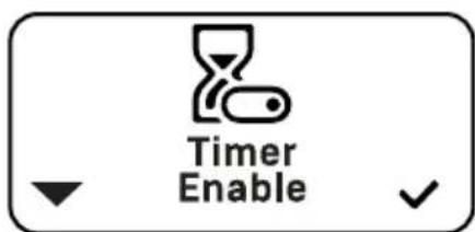 ECM Technika VI - Timer Enable - 2