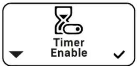 ECM Technika VI - Timer Enable (Activation du programmateur) - 2