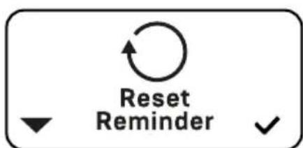 ECM Technika VI - Reset Reminder - 2