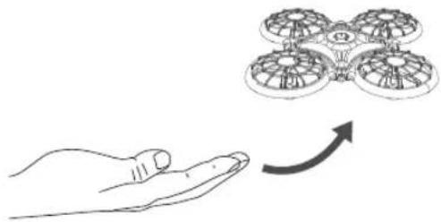 Dragon Touch DK01 Mini - Flight instructions - 2
