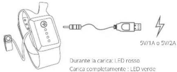 5V/1A o 5V/2A Durante la carica: LED rosso Carica completamente : LED verde