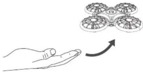 Dragon Touch DK01 Mini - Instrucciones de vuelo - 3
