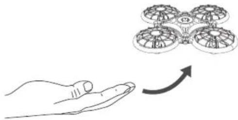 Dragon Touch DK01 Mini - Istruzioni di volo - 3