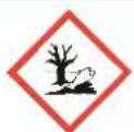 Holzmann ED1500KDIG - NOTICE - 2