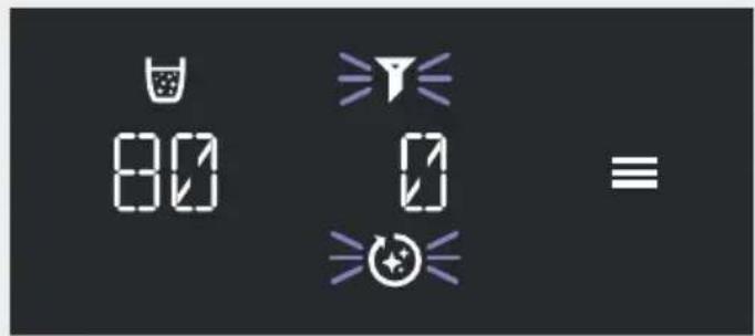 BLANCO CHOICE Icona - Pulizia e sostituzione del filtro - 6