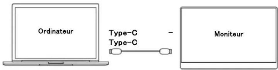 Japannext JNi156FHDRT - Connexion avec un ordinateur - 1