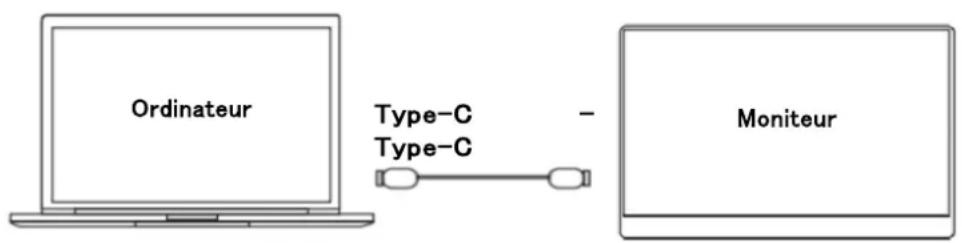 Japannext JNi156FHDRT - - Type C connection - 1