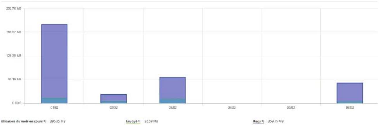 Alden INET 151 - Menu STATUT > UTILISATION MOBILE - 2