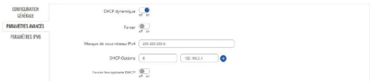 CONFIGURATION GÉNÉRALE PARAMÉTRES AVANCES PARAMÉTRES IPV6 DHCP dynamique off on Forcer off on Masque de sovantéseau IPv4 205.255.255.0 DHCP-Options 6 192.168.2.1 Forcer les options DHCP off on