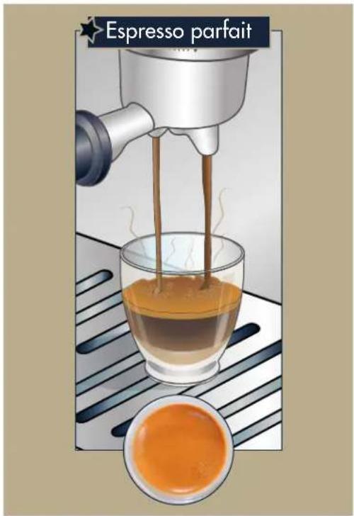 DELONGHI La Specialista Arte Evo EC9255 - L'espresso parfait - 2