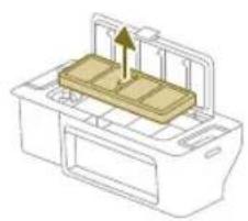 PHILIPS HomeRun 7000 Series XU7100 - Plaunamo filtro valymas - 2